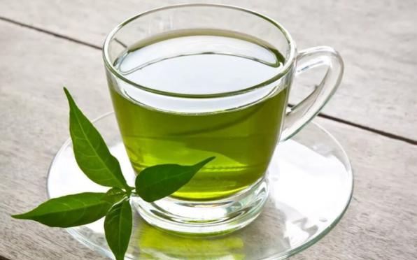 چای سبز مشهد لاهیجان شمال